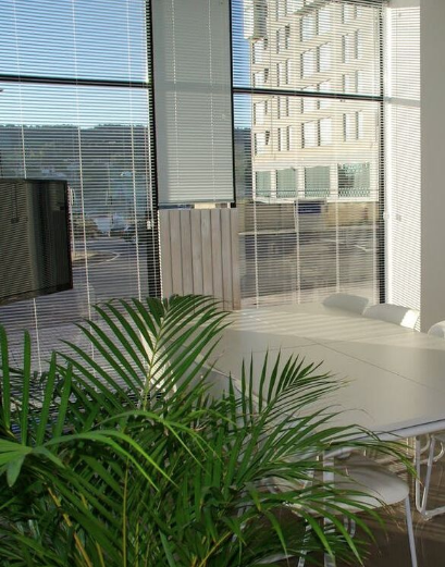 Thin tall plastic window blinds hanging over a large window in a commercial building with a conference table and plant next to it.